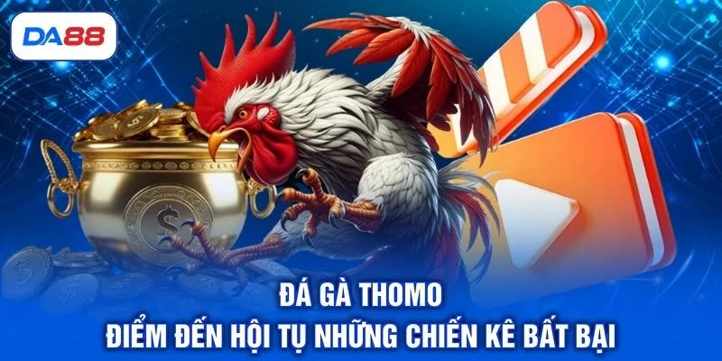 Đá Gà Thomo - Điểm Đến Hội Tụ Những Chiến Kê Bất Bại